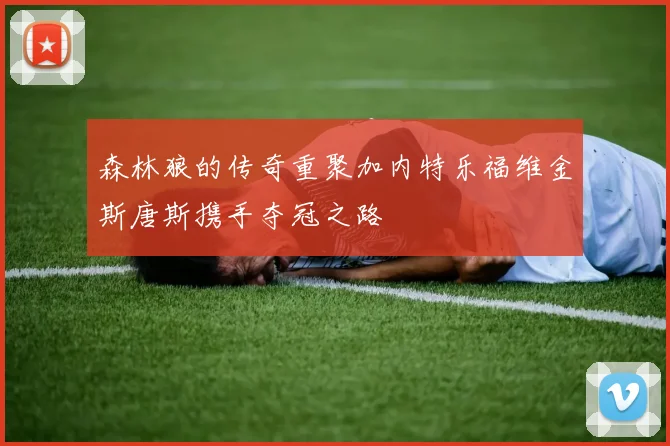森林狼的传奇重聚加内特乐福维金斯唐斯携手夺冠之路